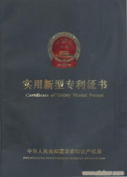 節(jié)能灶實(shí)用新型專(zhuān)利技術(shù)轉(zhuǎn)讓 開(kāi)啟高效節(jié)能新篇章